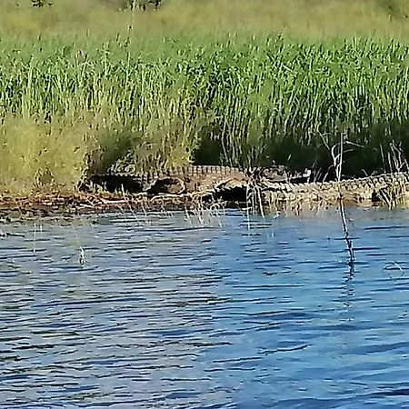 Camp Hogo Kavango Rundu Eksteriør billede