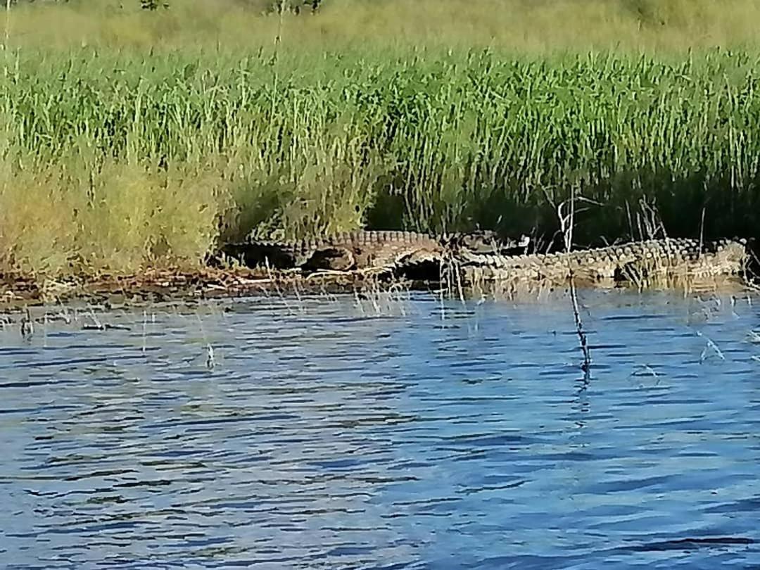 Camp Hogo Kavango Rundu Eksteriør billede