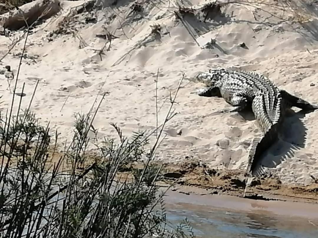 Camp Hogo Kavango Rundu Eksteriør billede