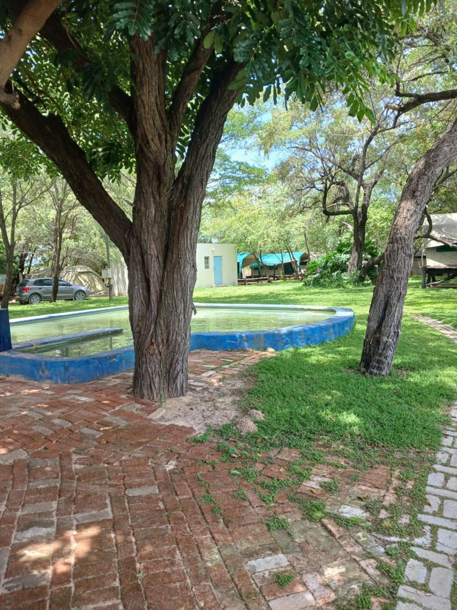 Camp Hogo Kavango Rundu Eksteriør billede