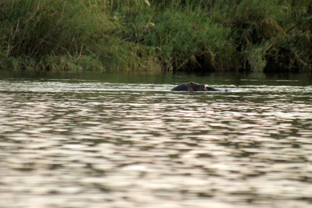 Camp Hogo Kavango Rundu Eksteriør billede