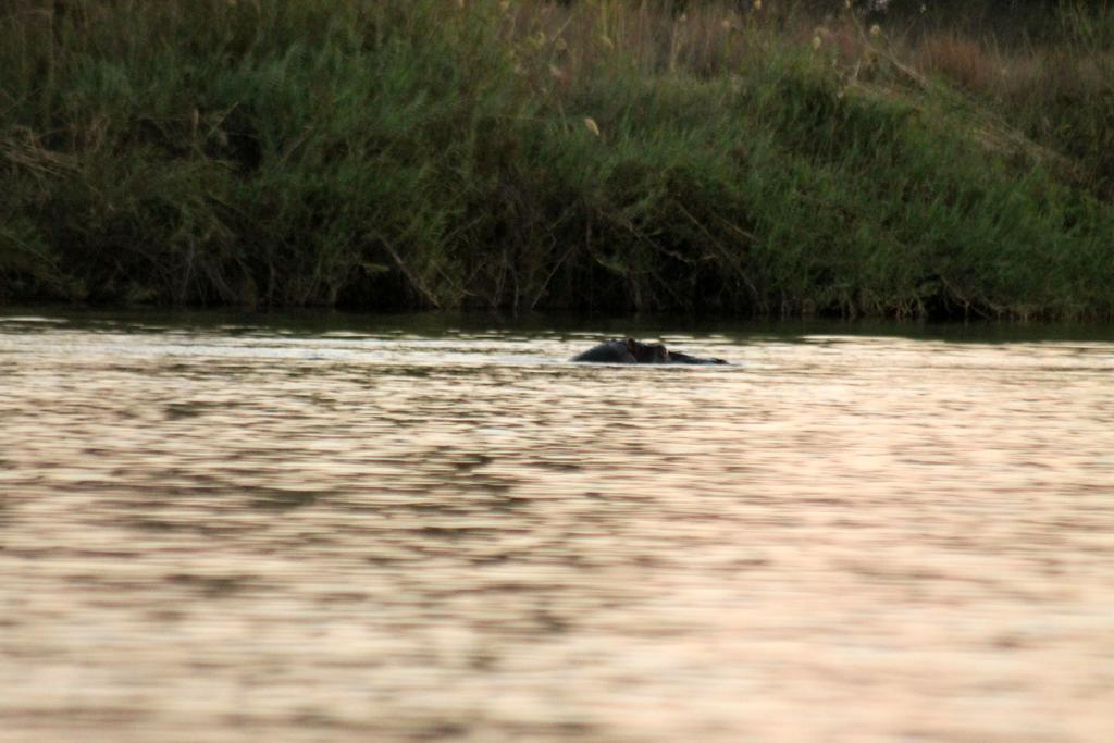 Camp Hogo Kavango Rundu Eksteriør billede