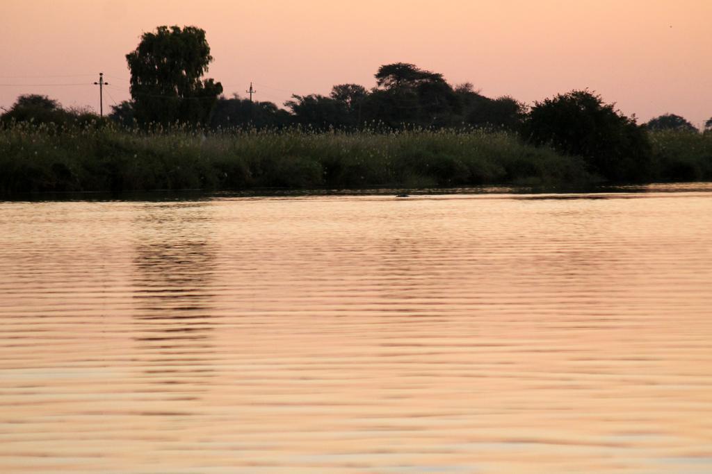 Camp Hogo Kavango Rundu Eksteriør billede